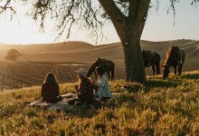 Shining a Spotlight on Female Farmers & Makers