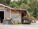 Lompoc Farm Forgiven for Failing to Pay Taxes on Farmstays