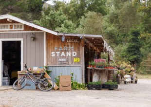 Lompoc Farm Forgiven for Failing to Pay Taxes on Farmstays