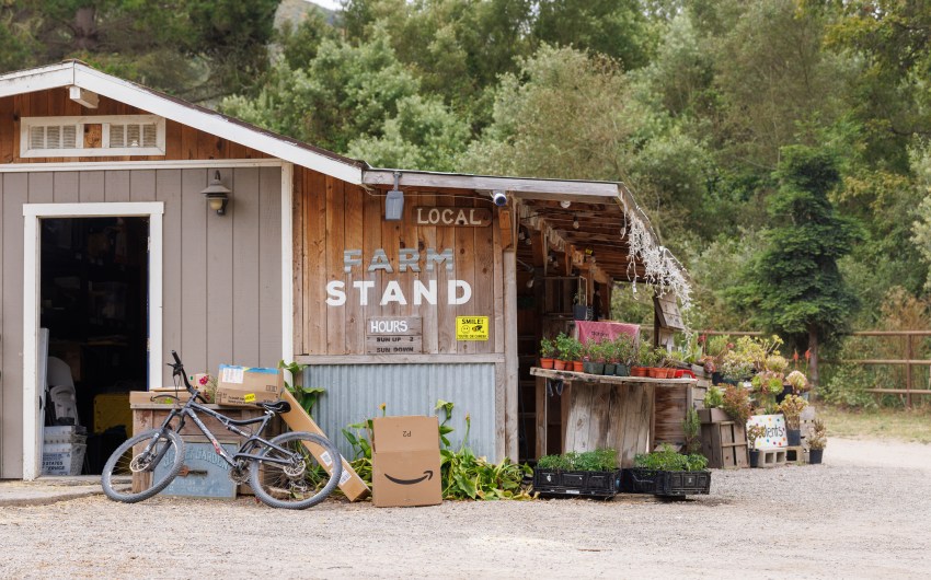 Lompoc Farm Forgiven for Failing to Pay Taxes on Farmstays