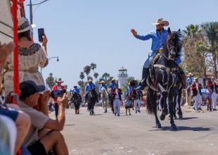 Horses from Across the Tri-Counties Fill Cabrillo Boulevard in Fiesta Historical Parade