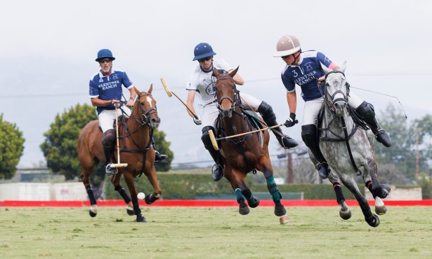 Pacific Coast Open Brings World-Class Polo Back to Santa Barbara