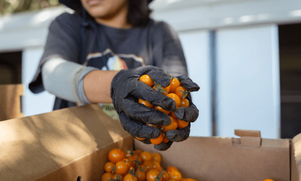 ‘Kids Are Actually Eating the Food’: State Expands Lunch Program That Pairs Schools with Farms