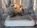 Talk With a Fire Scientist