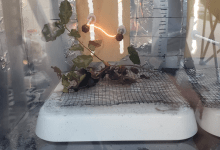 Talk With a Fire Scientist
