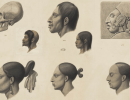 UCSB Library Expands Humanities and Social Science Collection