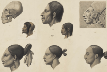 UCSB Library Expands Humanities and Social Science Collection