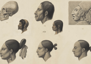 UCSB Library Expands Humanities and Social Science Collection