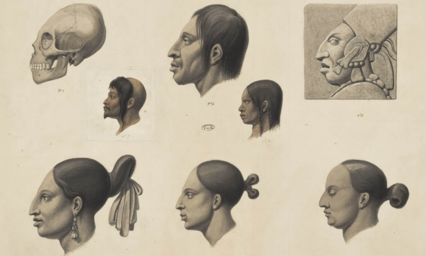 UCSB Library Expands Humanities and Social Science Collection
