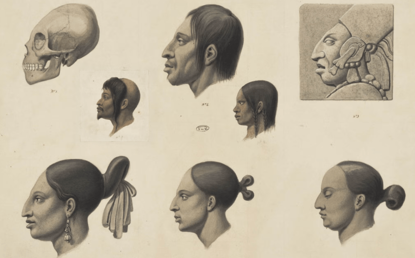 UCSB Library Expands Humanities and Social Science Collection