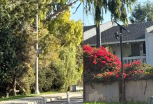 City of Santa Barbara to End Contract with Flock Cameras