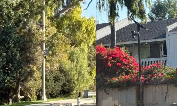 City of Santa Barbara to End Contract with Flock Cameras