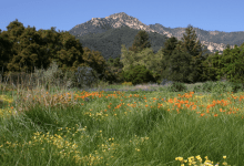 Free Community Day at S.B. Botanic Garden