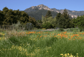 Free Community Day at S.B. Botanic Garden
