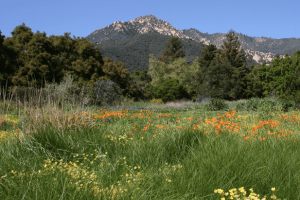 Free Community Day at S.B. Botanic Garden