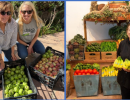 Expert Roundtable Addressing Food Insecurity