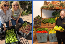 Expert Roundtable Addressing Food Insecurity