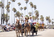 Capturing the Fiesta Parade Revelry