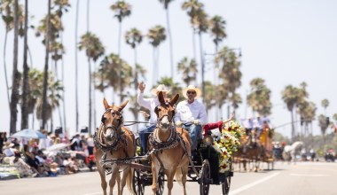 Capturing the Fiesta Parade Revelry