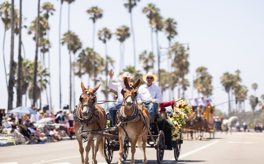 Capturing the Fiesta Parade Revelry
