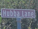 Hubba Hubba Lane: A Doggone Tale