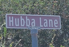 Hubba Hubba Lane: A Doggone Tale