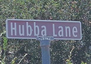 Hubba Hubba Lane: A Doggone Tale