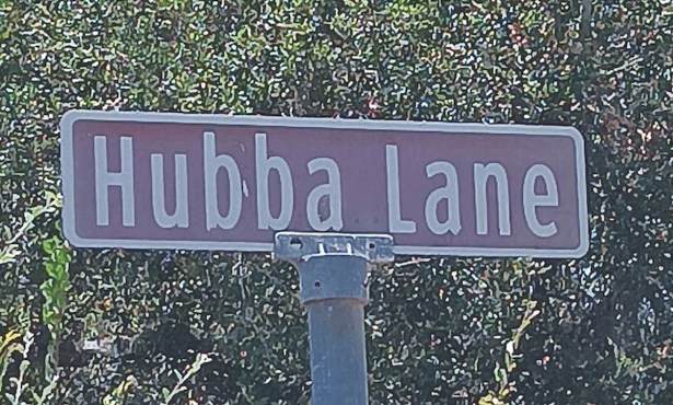 Hubba Hubba Lane: A Doggone Tale