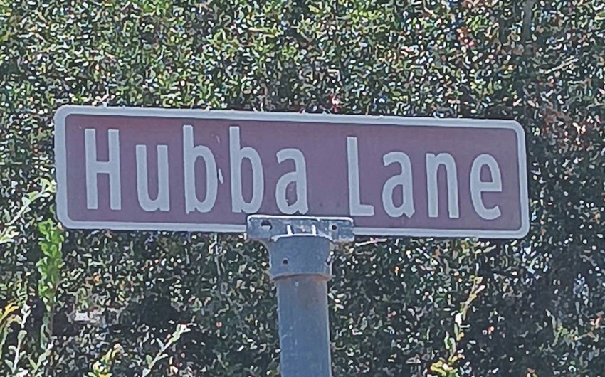 Hubba Hubba Lane: A Doggone Tale
