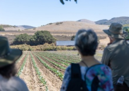 8th Annual Santa Barbara County Farm Day Brings Farmers And The Public Together