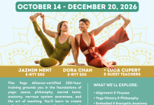The Stillness Movement 200Hr Yoga Teacher Training