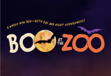 Boo at the Zoo – A Whole New Boo!