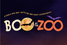 Boo at the Zoo – Adult Night