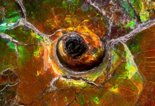 Geoscience for Everyone Day: Earth Science Week