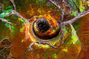 Geoscience for Everyone Day: Earth Science Week