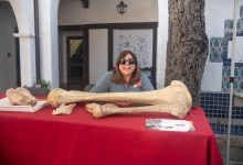 National Fossil Day: Earth Science Week