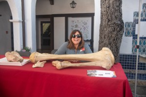 National Fossil Day: Earth Science Week