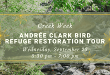 Creek Week: Andrée Clark Bird Refuge Tour
