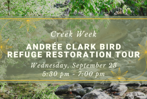 Creek Week: Andrée Clark Bird Refuge Tour