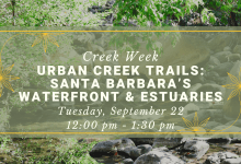 Creek Week: Urban Creek Trails Walk