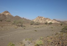 Science Pub: Discuss “Ophiolites & Plate Tectonics” with Dr. Rioux