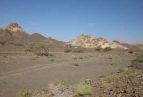Science Pub: Discuss “Ophiolites & Plate Tectonics” with Dr. Rioux
