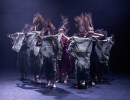 Fall Arts Preview | Happy Feet on the Horizon
