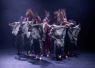 Fall Arts Preview | Happy Feet on the Horizon