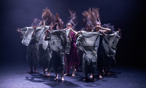Fall Arts Preview | Happy Feet on the Horizon