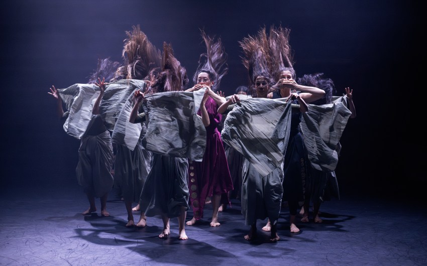 Fall Arts Preview | Happy Feet on the Horizon
