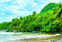 Protecting Ecosystems and Reducing Poverty
