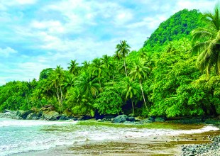 Protecting Ecosystems and Reducing Poverty