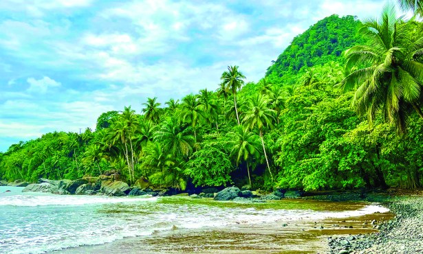 Protecting Ecosystems and Reducing Poverty