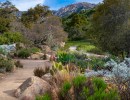 Biodiversity Is Our Common Ground